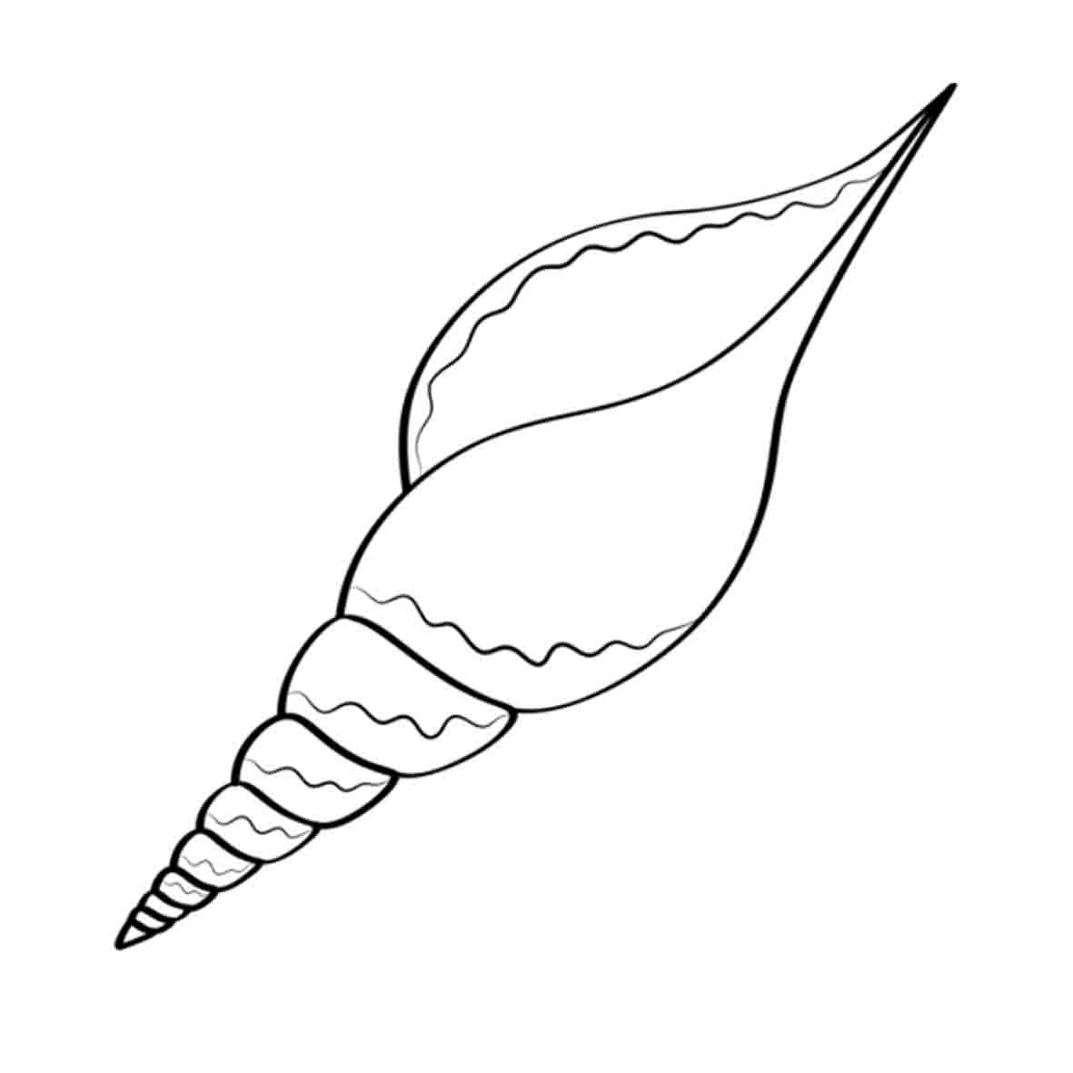 25 Seashell drawing ideas to draw this summer.