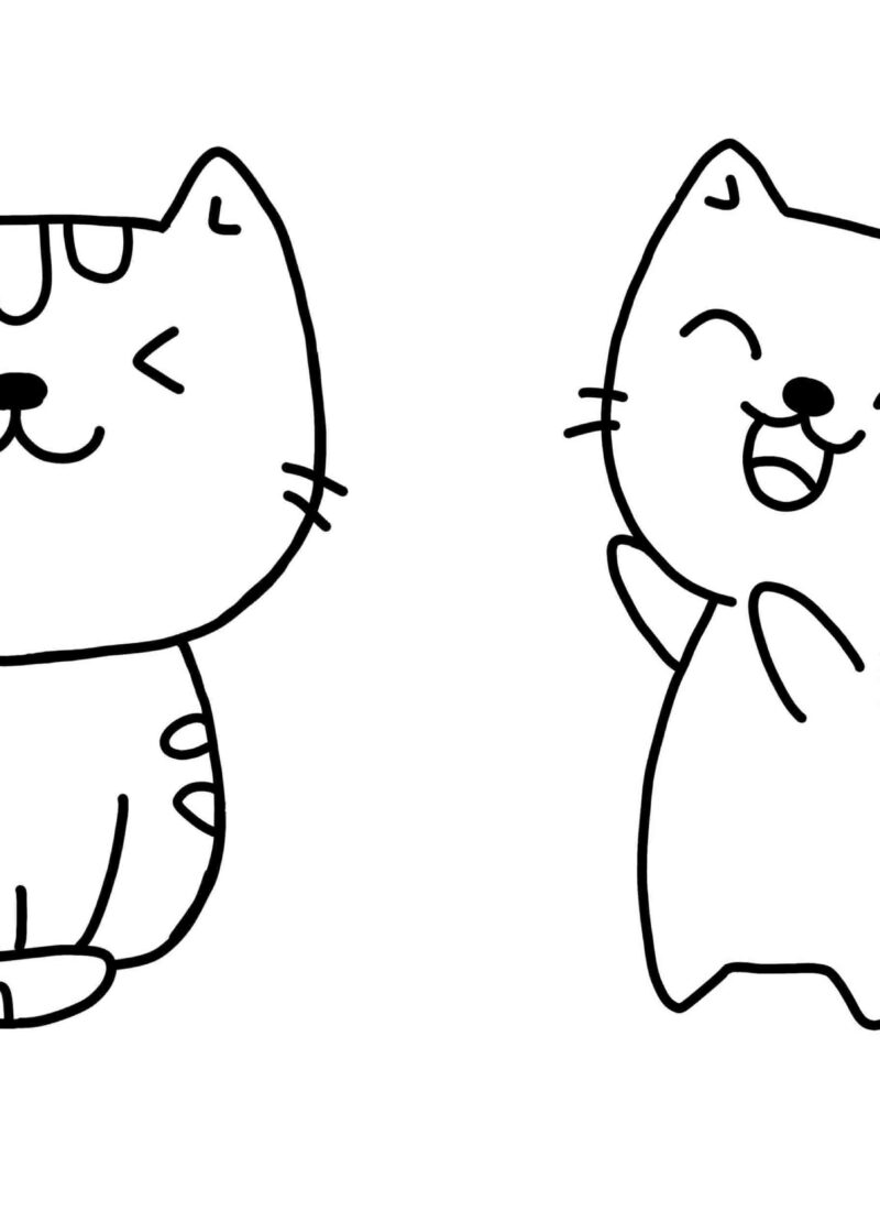 15 Easy Silly Cat Doodle Ideas.