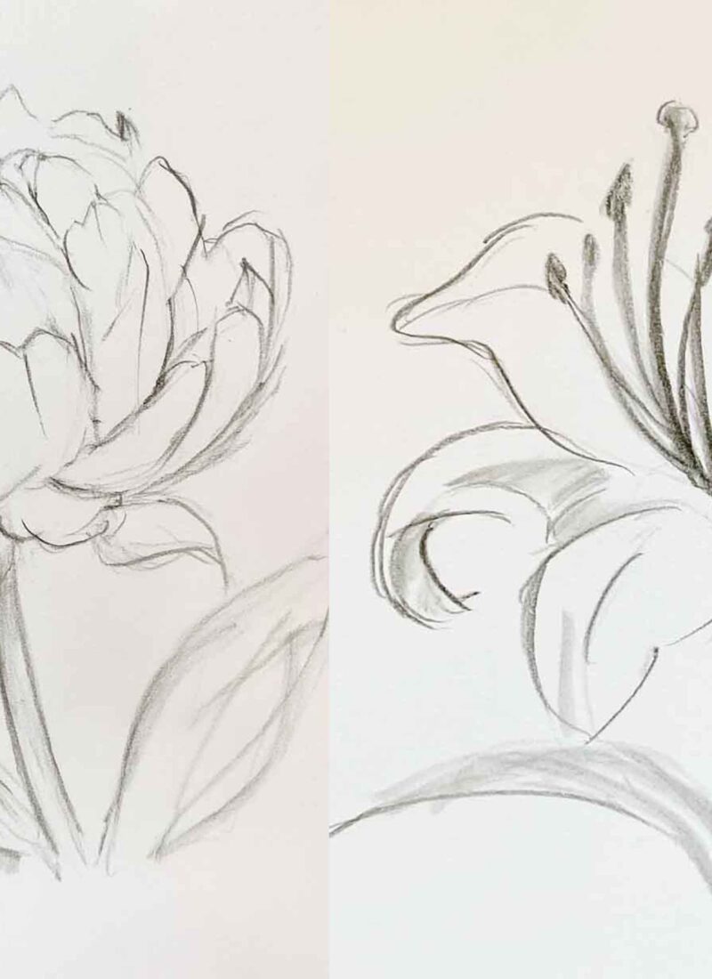 13 Easy Flower Sketches To Draw In Your Sketchbook.